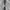 Silver double Zip Hoodie by Polo Ralph Lauren photo 4