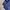 Zipper Hoodie Navy by Polo Ralph Lauren photo 5