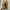 Nine West - Office / Formal Arlene Heels photo 3