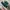 Converse x piece black green original 100% photo 1