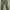 Washed Grey Skinny Jeans photo 1