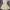 Dress plisket satin photo 7