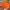 Pelle Pelle Y2K Leather jacket Pria orange photo 2