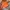 Pelle Pelle Y2K Leather jacket Pria orange photo 5