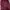 Cardigan Maroon photo 1