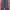 Longpants Chinos Dickies