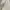 Rok Krem (broken White)