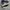 Adidas campus navy photo 1