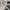 ZARA Vintage Casual Heels Wanita white photo 3