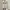 WHO.A.U Casual Hoody Pria White