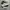 Adidas 350 photo 1