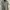 Polo Ralph Lauren Casual Polo Shirt Pria Gray