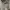 Polo Ralph Lauren Casual Polo shirt Pria gray photo 2