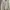 ZARA Casual Formal Shirt Pria White