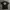 Tshirt santa Cruz photo 1