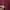 Carhartt Vintage Streetwear Casual shirt Pria burgundy photo 3