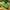 Adidas SL 72 RS Green Yellow photo 7