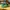 Adidas SL 72 RS Green Yellow photo 2