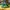 Adidas SL 72 RS Green Yellow