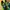 Adidas SL 72 RS Green Yellow photo 6