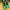 Adidas SL 72 RS Green Yellow photo 3