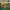 Adidas SL 72 RS Green Yellow photo 1