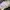 converse omega trainer photo 1