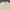 Polo Ralph Lauren Sweater Knit Cable Cream