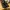 Nike Air Max DN Black Dark Smoke Grey photo 3