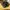 Nike Air Max DN Black Dark Smoke Grey photo 4