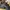 Nike Air Max DN Black Dark Smoke Grey photo 6