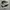 Adidas 350 photo 1