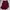Set Baju dan Celpen Maroon photo 1