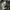 Casual parka Jacket Army Tate photo 5
