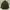 Casual parka Jacket Army Tate photo 2