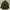 Casual Parka Jacket Army Tate