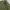 Casual parka Jacket Army Tate photo 3