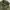 Casual parka Jacket Army Tate photo 4