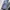 RITSUKO SHIRAHAMA Pleats T-shirt photo 2