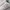 Adidas Campus 00s Ice Cream White photo 2