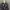 Kemeja guess  photo 3