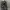 Kemeja guess  photo 2