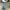 505 jeans photo 3