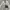 Tommy Hilfiger Herrington Jacket Casual