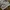 Y2K GOTH GRUNGE SKULL FULL AOP WOMEN SECTION SWEATSHIRT  photo 2