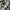 Y2K GOTH GRUNGE SKULL FULL AOP WOMEN SECTION SWEATSHIRT  photo 6