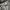 Y2K GOTH GRUNGE SKULL FULL AOP WOMEN SECTION SWEATSHIRT  photo 4