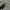 Nike  photo 6