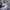 Adidas Streetwear Sportswear Sneakers Pria white photo 6
