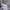 Adidas Streetwear Sportswear Sneakers Pria white photo 7